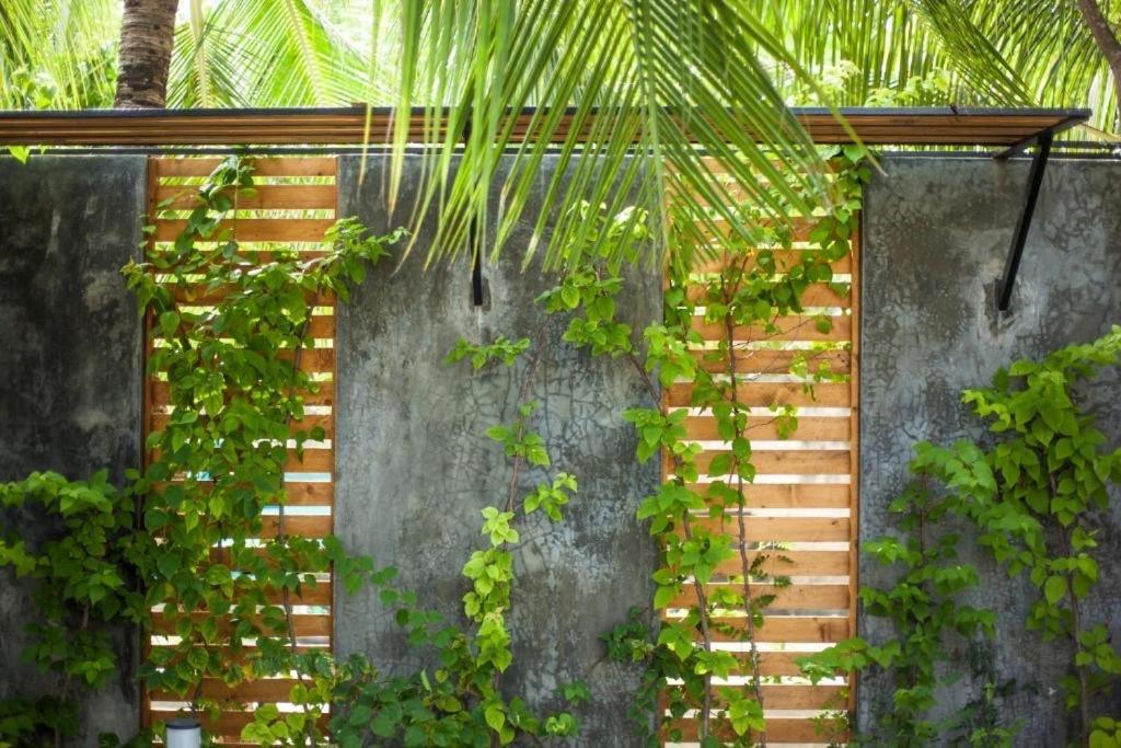 Island Scuba Inn Dhangethi Extérieur photo