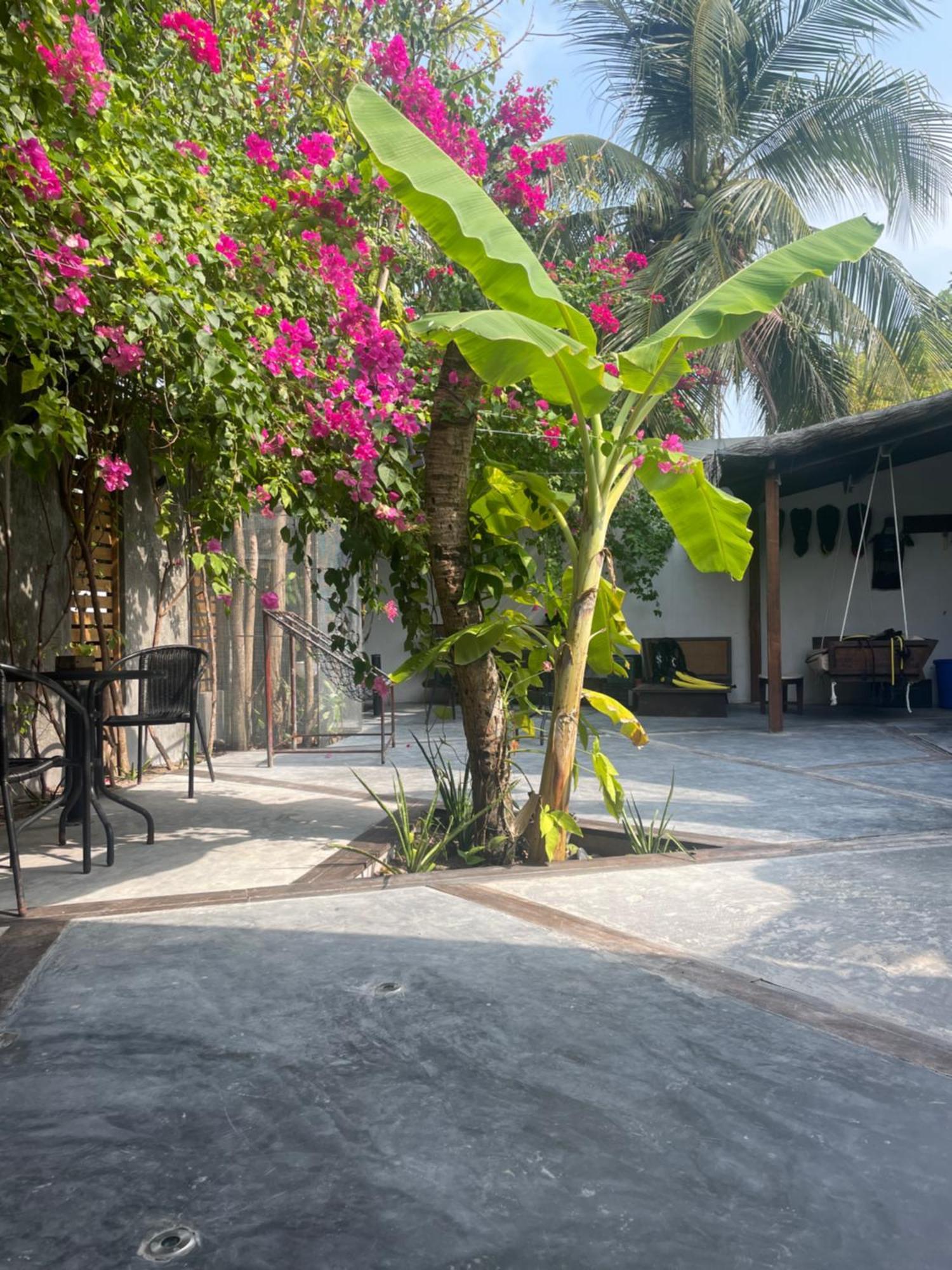 Island Scuba Inn Dhangethi Extérieur photo